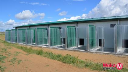 nave-residencia-canina-boxes-perros-economica-mekanaves