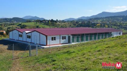 nave-modular-residencia-canina-boxes-mekanaves